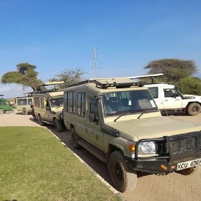 Tour guide
 Maasai Mara national reserve