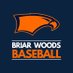 Briar Woods Baseball (@BWBaseball1) Twitter profile photo