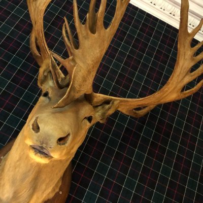 Tumbleover226's profile picture. London, ex-NYC, ex-Ireland
☘️