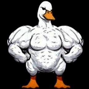 TCoziye's profile picture. 