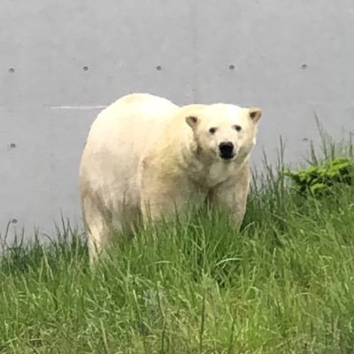 眺さんのプロフィール画像