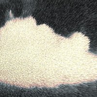brainr0t.99 (@brainr0t99) 's Twitter Profile