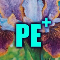 Peynuta 𝕏periences 𝕏 𝕏 𝕏(@ThePeynutaOne) 's Twitter Profile Photo