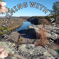 Failure is an option (@farmingwithyhwh) 's Twitter Profile Photo Failure is an option (@farmingwithyhwh) 's Twitter Profile Photo