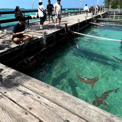 Astearsgobye1's profile picture. to find queen  without a king