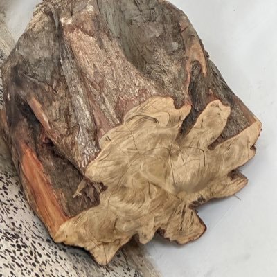 MiraSaleh16's profile picture. ماادور ورا المقفين وانادي