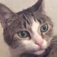 m1zu (@m1zufps) 's Twitter Profile Photo m1zu (@m1zufps) 's Twitter Profile Photo