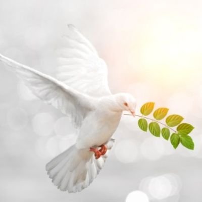 CardinalRouge1's profile picture. 