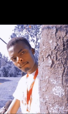 DKipserem51167's profile picture. 