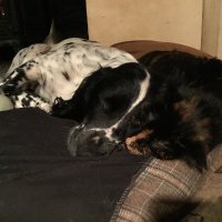 Maris McMort (@mavism54295) 's Twitter Profile Photo