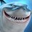 qilyxihamur's profile image