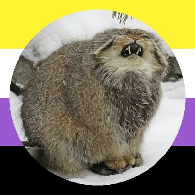 MyFloodedhouse's profile picture. Gay bitch