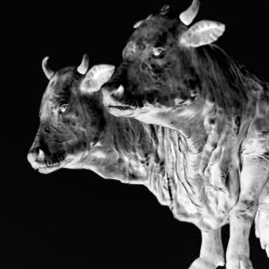 baramontokyo's profile picture. 酒飲めないようじゃ無理か。 酒はね、入れとかないと。