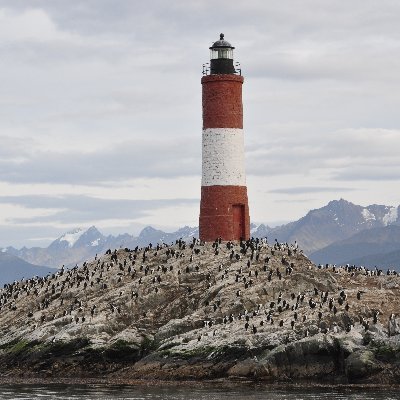 flavia66andrea's profile picture. 