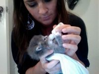 Weckel1228's profile picture. SWTOR!!!!