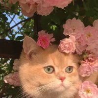 🌿🇸🇦 (@t2244h) 's Twitter Profile