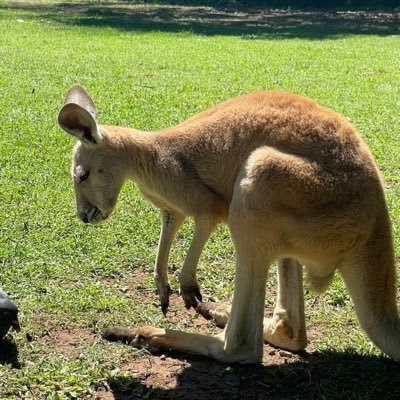 RanjithSrin's profile picture. 