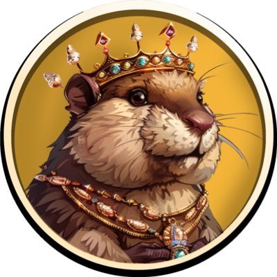 bobrcoinSOL Profile Picture