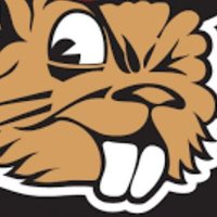 BullpenChias (@bullpenchias) 's Twitter Profile Photo