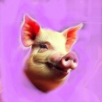 0xMik3 (@0xmik3) 's Twitter Profile