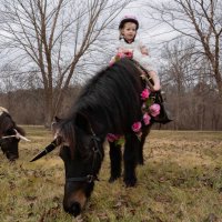 Hogback Mountain Pony Rides(@hogbackmtnpony) 's Twitter Profile Photo