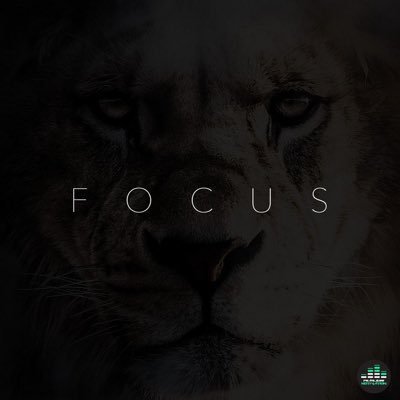 focusmode__'s profile picture. Fitness und mindset