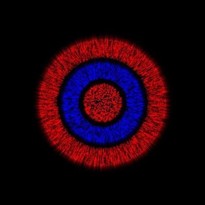 SIORCOM's profile picture. 