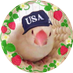 しらす丼🐥🇺🇸 (@shirasudon4) Twitter profile photo しらす丼🐥🇺🇸 (@shirasudon4) Twitter profile photo