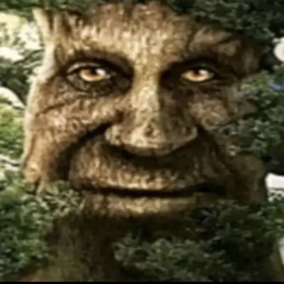 Rival960's profile picture. IPhone 6s/12 iOS version 13.5/16.0 jailbreaker est je suis passionné du hacking des jeux iOS