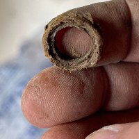 void main() (@void_who) 's Twitter Profile Photo