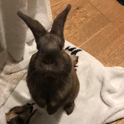 Victor O'bardさんのプロフィール画像