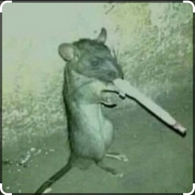 samuelzzzherna1's profile picture. 