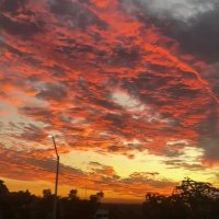 Josue (@z_suef) 's Twitter Profile