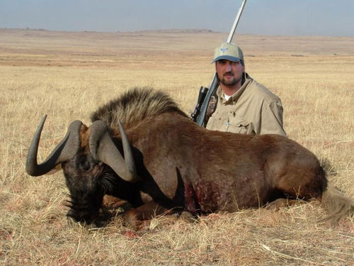 iwan_nechaeff's profile picture. 