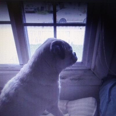 Nina5449254145's profile picture. 