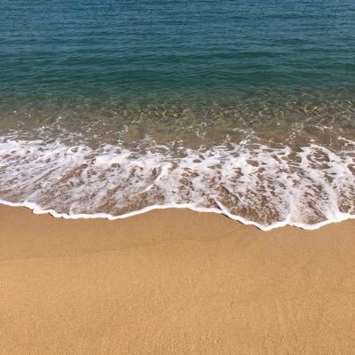 alquione's profile picture. 