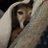 katylinrose's profile image