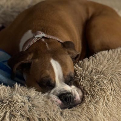 JaimeSteph2973's profile picture. 