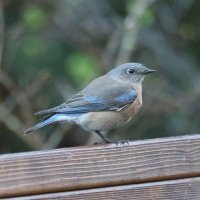 Jeanne (@jlwcpa2) 's Twitter Profile