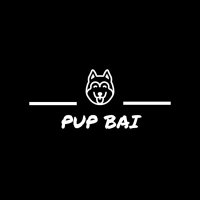 Pup Bai 小白 (@pup_bai) 's Twitter Profile Photo