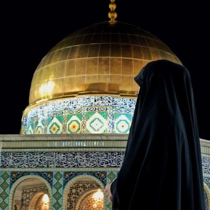 zeynabzeighami's profile picture. سرخوش زِ سبوی غمِ پنهانی خویشم،

𓍼