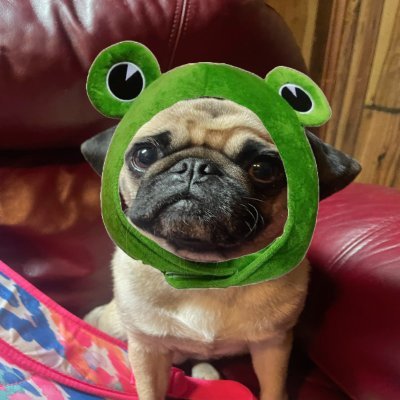 JSelzer19's profile picture. 