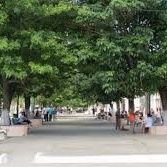 citma_ranchuelo's profile picture. El trabajo