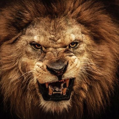 muhittinsokucuu's profile picture. 