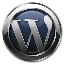 Premium WordPress theme analyst & Web Developer