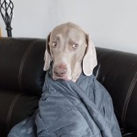 Myph033 (@travisf54833509) 's Twitter Profile