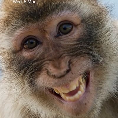 drmustafa965's profile picture. 