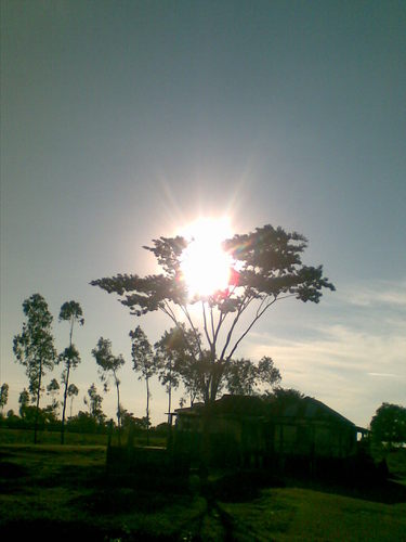 mmhs013's profile picture. 