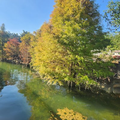 bubu131329's profile picture. 