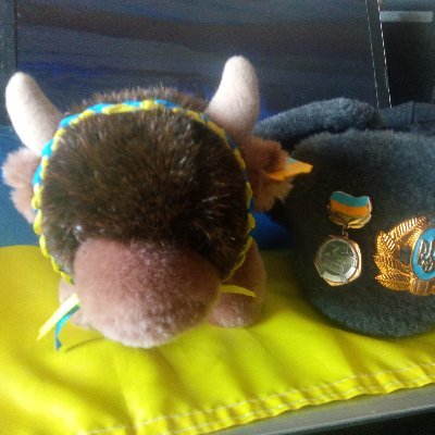 Proud Western Canadian supporter of Ukraine, Область Баффало. Prefer Winters in Одеса мама ... the Best City ! Brother of @desperation84 * Russia cotidie mal *